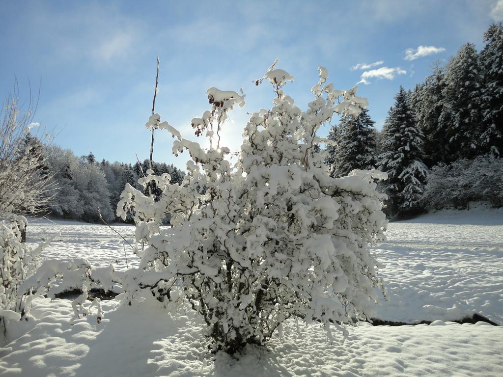 Klieber - Urlaub Am Biobauernhof Villa Millstatt Exterior foto