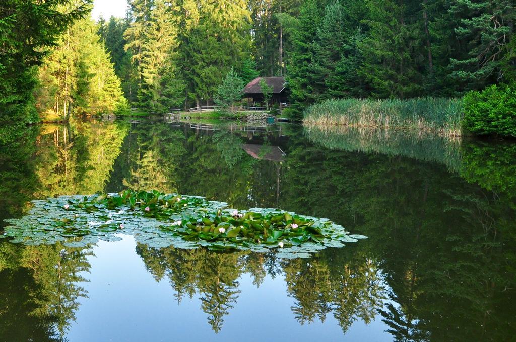 Klieber - Urlaub Am Biobauernhof Villa Millstatt Exterior foto